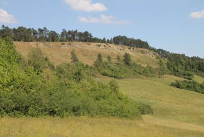 Die Dieteröder Klippen im Eichsfeld.