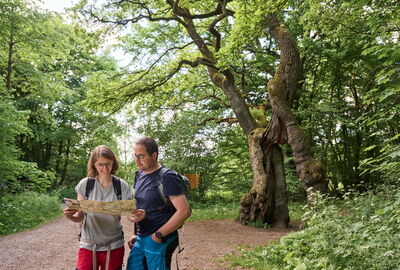 Wanderpaar an der Betteleiche