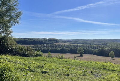 Am "Domblick"