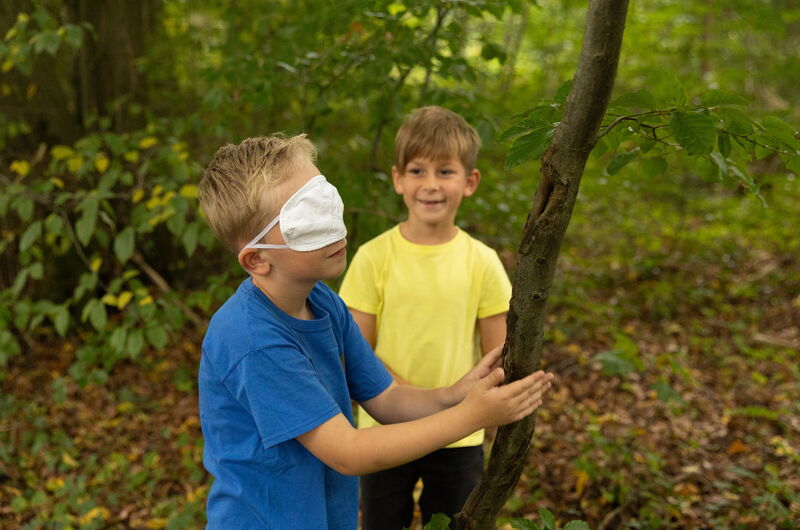 Kinder mit Augenbinde ertasten die Oberfläche und Größe eines Baumes
