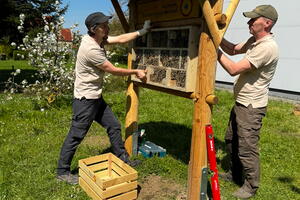 Zwei Ranger befestigen die von Schülern angefertigte Wildbienen-Nisthilfen auf dem Insektenhotel