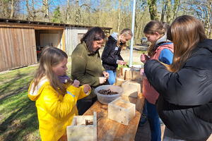 Sechs Personen stehen um einen Tisch, auf dem sie Nisthilfen für Wildbienen bauen.