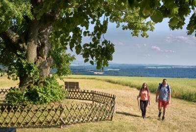 Wanderer an der Lindenhecke bei Schierschwende