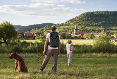 Blick auf Falken