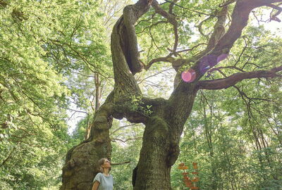 Wanderin an der Betteleiche im Nationalpark Hainich