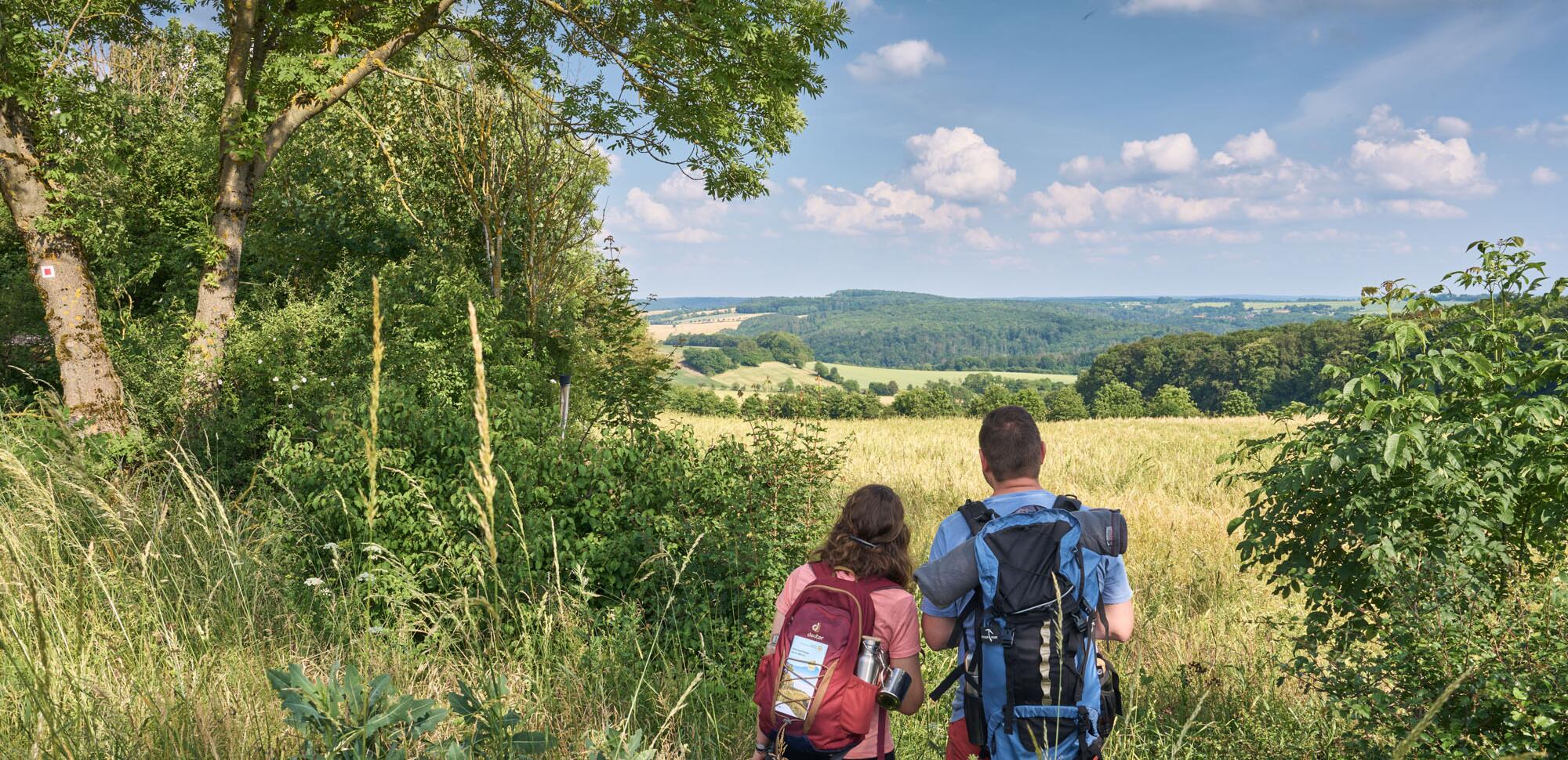 Naturparkweg Leine-Werra / Etappe 4 „Historische Bauwerke im Blick