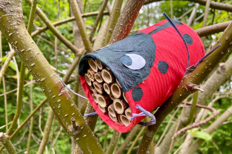 Insektenhotel