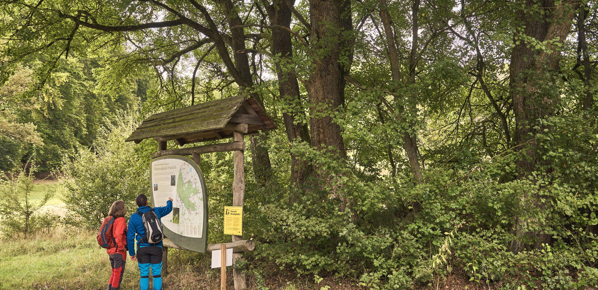 Wanderer informieren sich an einer Infotafel am sogenannten Maikäferbaum im Mihlaer Tal