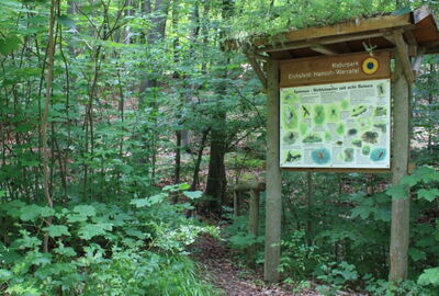 Informationstafel am Wanderweg