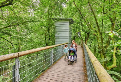 Familie mit Kinderwagen auf dem barrierefreien Baumkronenpfad im Nationalpark Hainich.