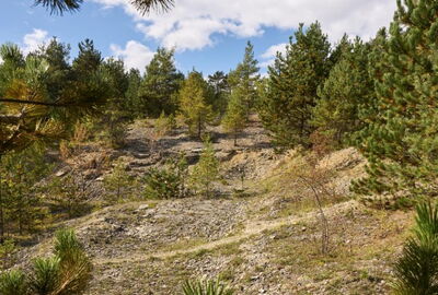 Der ehemalige Steinbruch bei Rüstungen