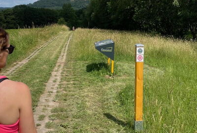 Auf dem TOP-Grenzwanderweg Schifflersgrund