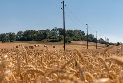 Weg auf den Warteberg