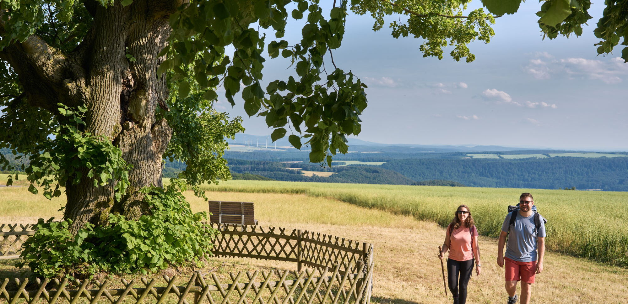 Wanderer an der Lindenhecke bei Schierschwende