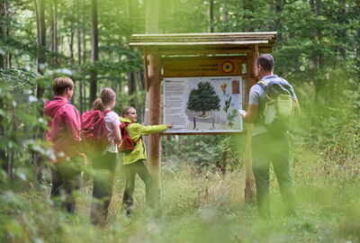 Familie an einer Infotafel zur Eibe im Naturschutzgebiet Lengenberg im Eichsfeld