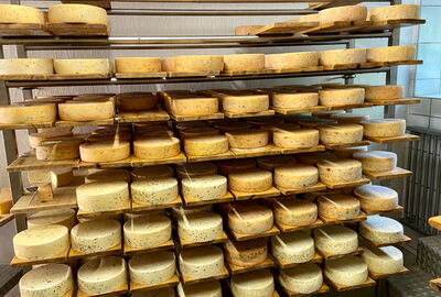 Käseregal mit Eichsfelder Schnittkäse