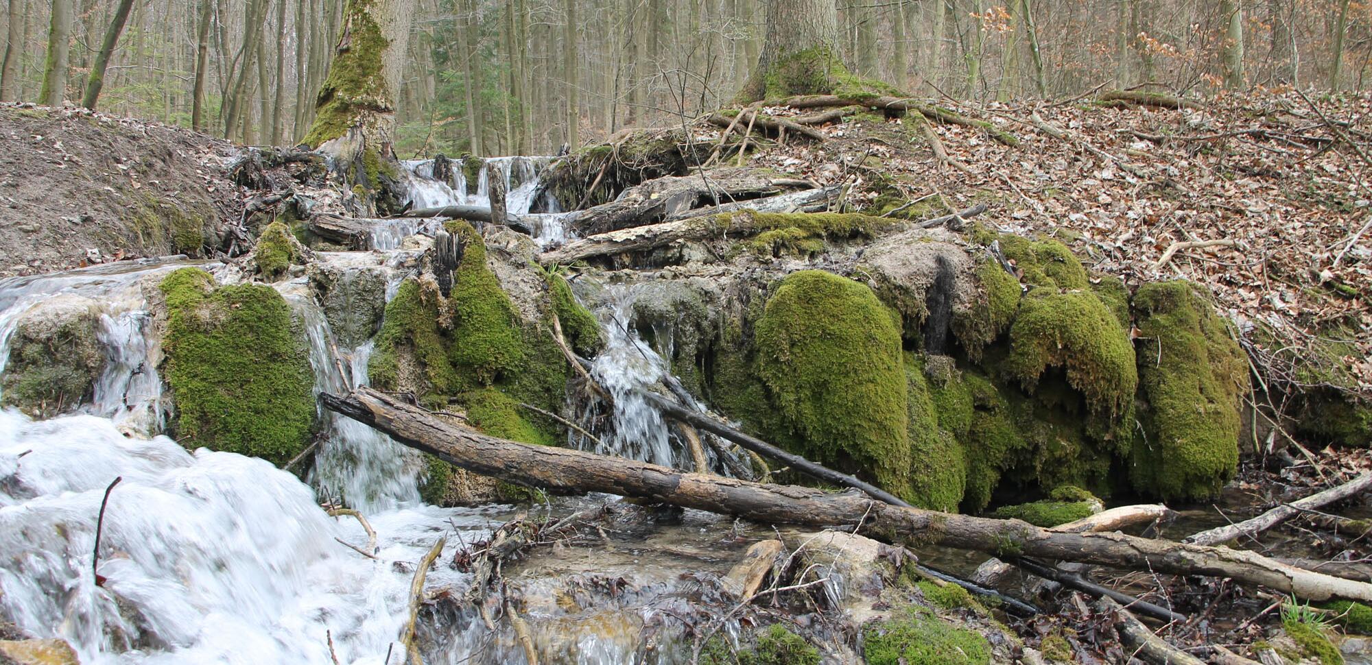 Kalktuffquelle Wagental