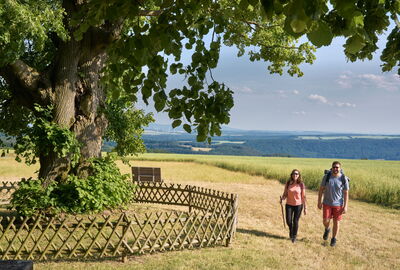 Zwei Wanderer an der sogenannten Lindenhecke bei Schierschwende