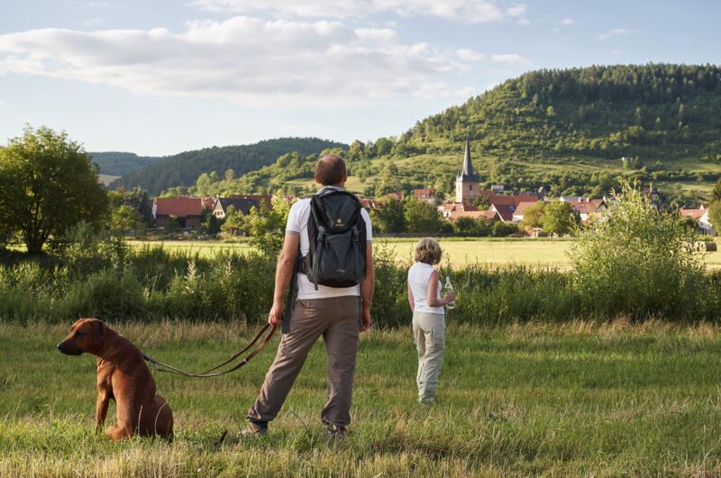 Blick auf Falken