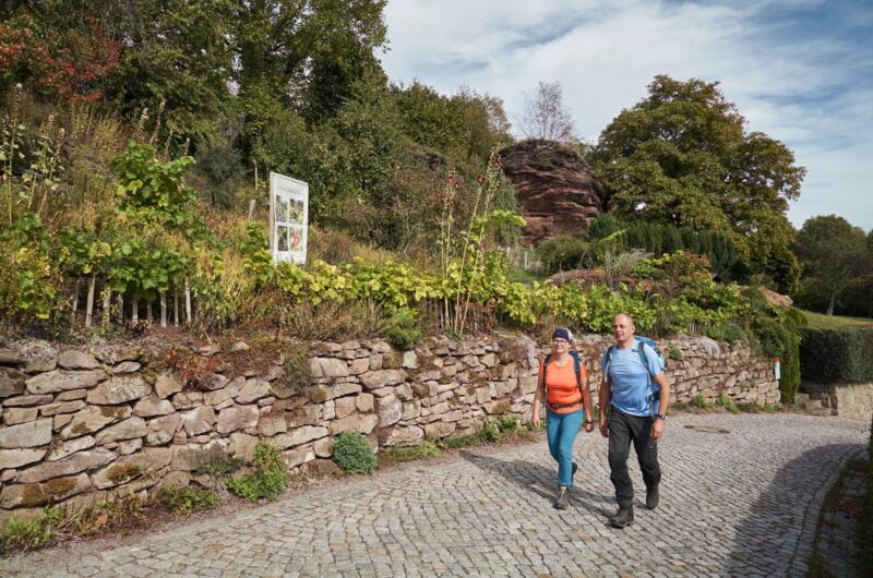 Ein paar wandert an einer Natusteinmauer in Bornhagen entlang
