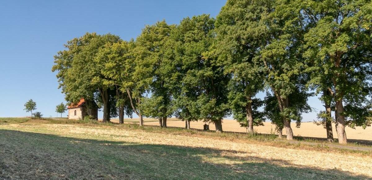 TOPWanderweg Warteberg Mittelpunkt Deutschlands Eichsfeld