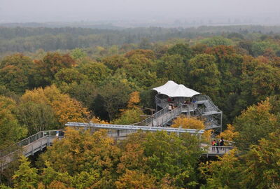 Baumkronenpfad Hainich