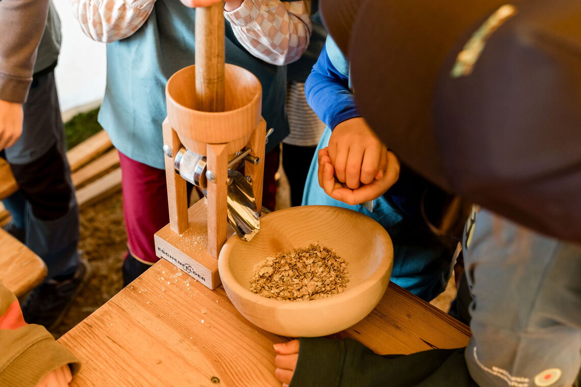 Ferienaktion im Naturparkzentrum Fürstenhagen, gemeinsam Getreide mahlen und backen