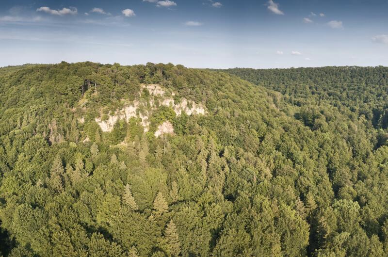 Blick auf die Klosterschranne bei Kloster Zella