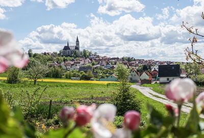Blick auf Effelder mit dem sogenannten Eichsfelder Dom
