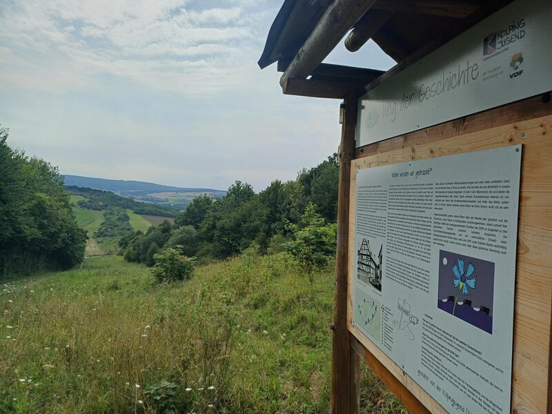 Kolonnenweg am Grünes Band
