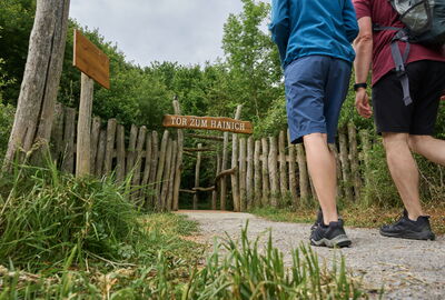Wanderpaar unterwegs auf dem Hainichlandweg