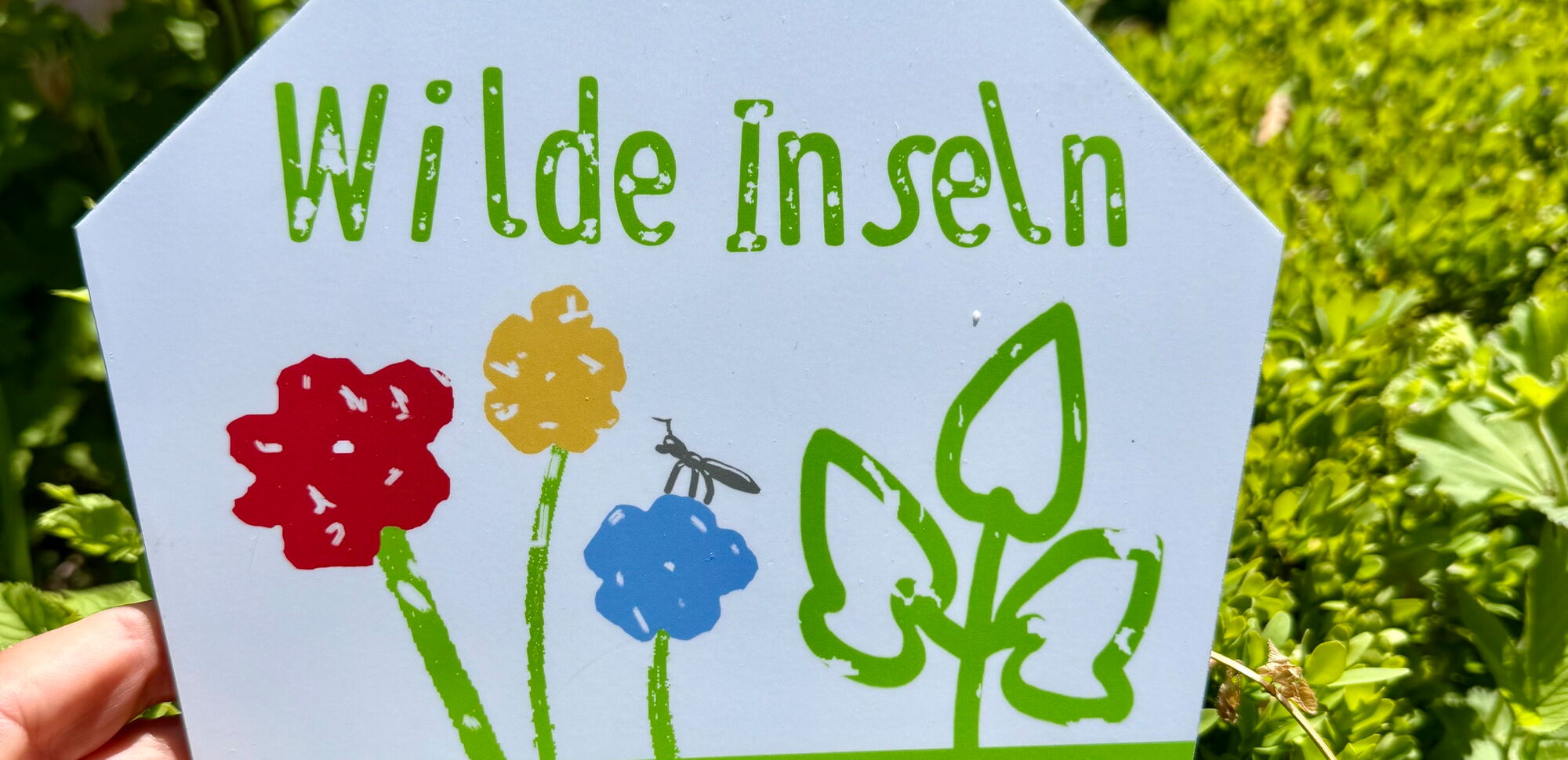 Wilde Insel