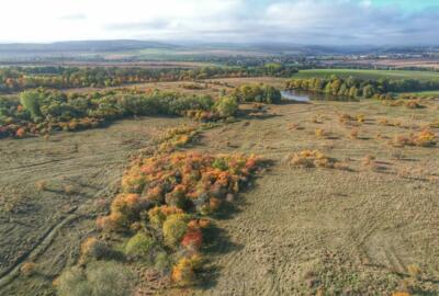 Die Wilde Weide im Nationalpark Hainich aus der Vogelperspektive