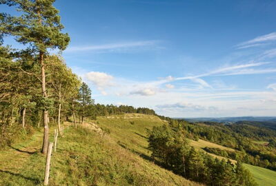 TOP-Wanderweg Dieteröder Klippen