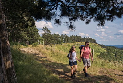 Naturparkweg Leine-Werra / Etappe 1 Übers Eichsfelder Plateau 24,5 km