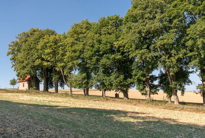 Antoniuskapelle mit Stationsweg