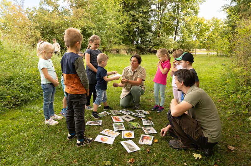 Spielerisch wird die Nahrung der Wildkatze in der Umweltbildungsaktion erkundet