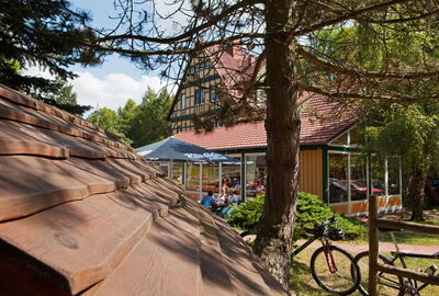 Ausflugsgaststätte Biergarten
Auf dem Bild ist ein Teil des Biergartens vom alten Heyeröder Bahnhof zu sehen. Im Vordergrund sieht man einen alten Nadelbaum. Im Hintergrund ist das alte, gelbe Fachwerkhaus zu sehen.