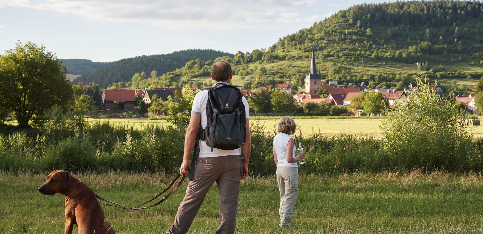 Blick auf Falken