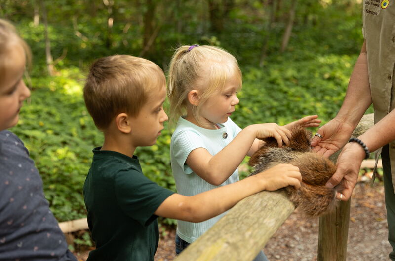 Kinder fühlen verschiedene Felle von Tieren und erraten von welchem Tier sie stammen