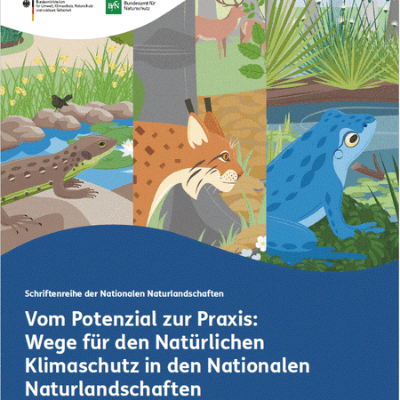 Covermotiv der Broschüre