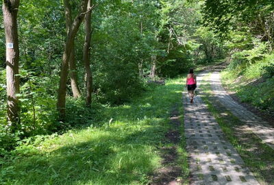 Auf dem Kolonnenweg