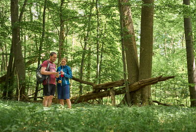 Wanderpaar unterwegs auf dem Hainichlandweg