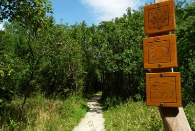 An der Fuchsfarm treffen sich der Pfad der Begegnung, Saugrabenweg und Qualitätsweg Hünenteich.