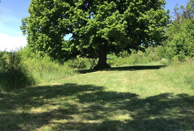 Einladung zur Rast: Naturdenkmal und Rastplatz