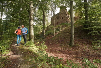 Wanderer am Premiumweg P16