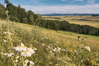 Der Fliegerhang auf dem Harsberg