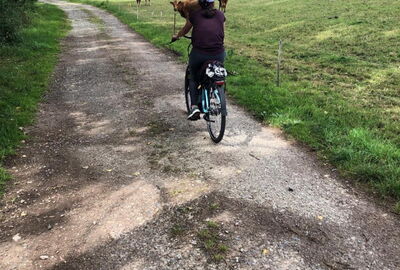 Wegequalität auf Teilabschnitt Südeichsfeld-Radweg