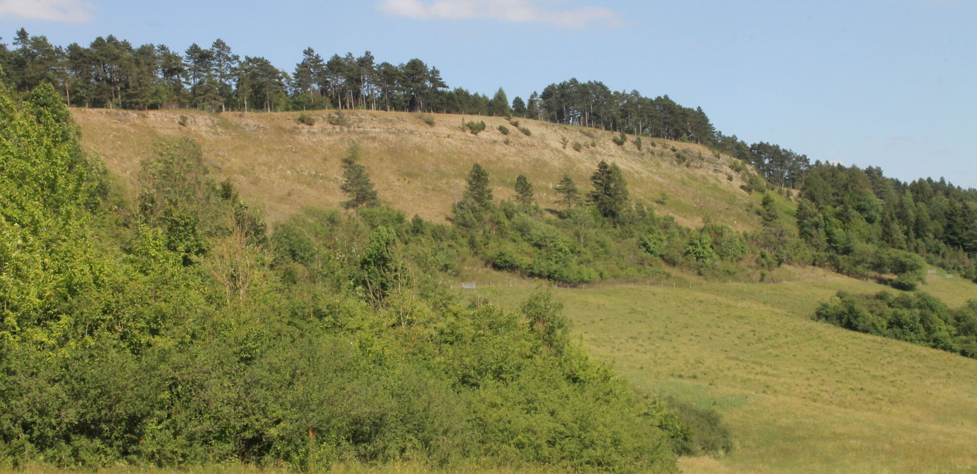 Die Dieteröder Klippen im Eichsfeld.