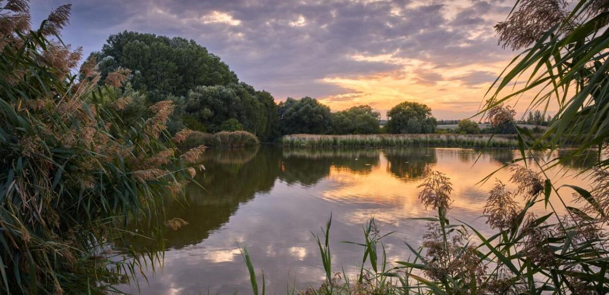 Thomasteich im Naturpark Eichsfeld-Hainich-Werratal in der N?he von M?hlhausen